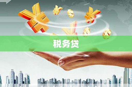 芳苑税务贷