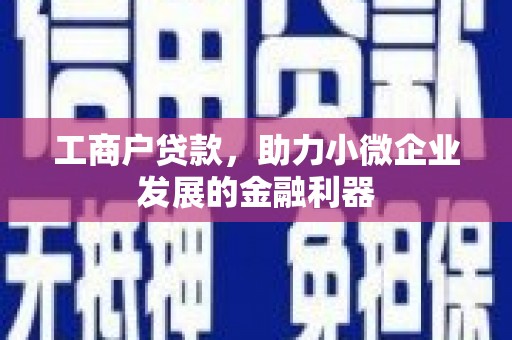 芳苑工商户贷款，助力小微企业发展的金融利器