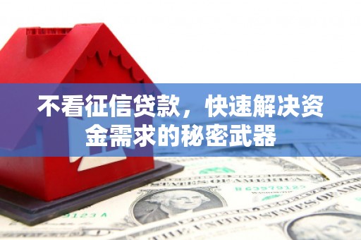 芳苑不看征信贷款，快速解决资金需求的秘密武器