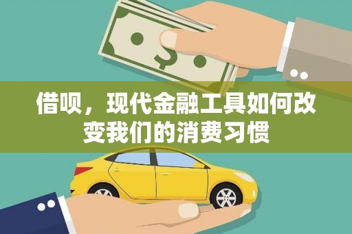 芳苑借呗，现代金融工具如何改变我们的消费习惯