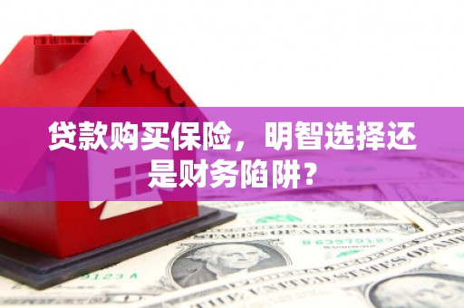 芳苑贷款购买保险，明智选择还是财务陷阱？