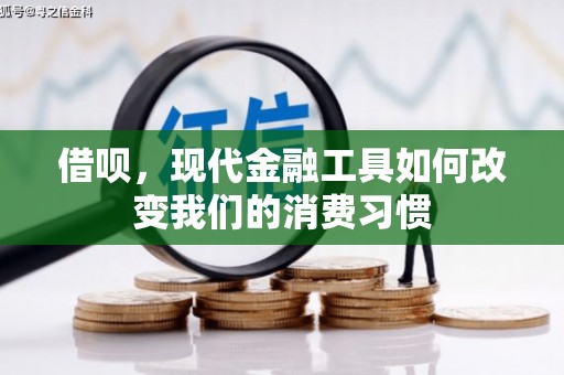 芳苑借呗，现代金融工具如何改变我们的消费习惯