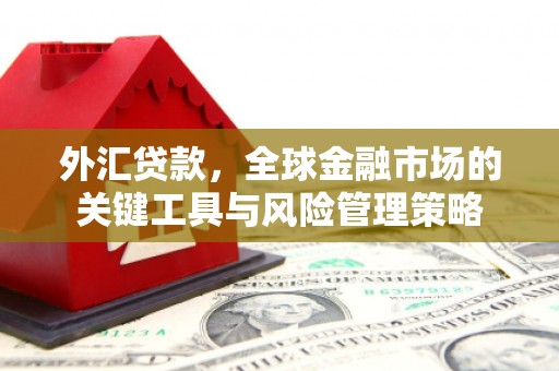 芳苑外汇贷款，全球金融市场的关键工具与风险管理策略