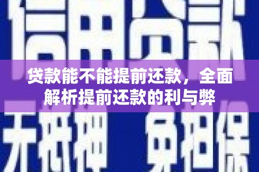 芳苑贷款能不能提前还款，全面解析提前还款的利与弊