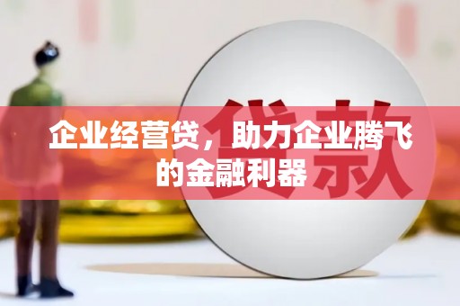 芳苑企业经营贷，助力企业腾飞的金融利器