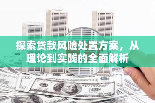 芳苑探索贷款风险处置方案，从理论到实践的全面解析