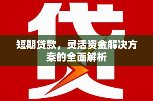 芳苑短期贷款，灵活资金解决方案的全面解析