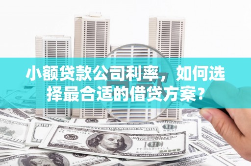 芳苑小额贷款公司利率，如何选择最合适的借贷方案？