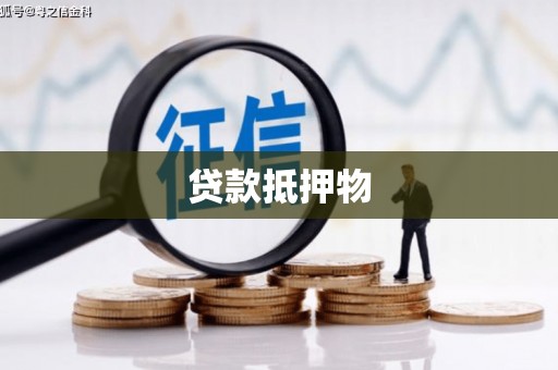 芳苑贷款抵押物