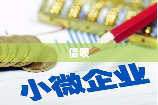 芳苑借呗