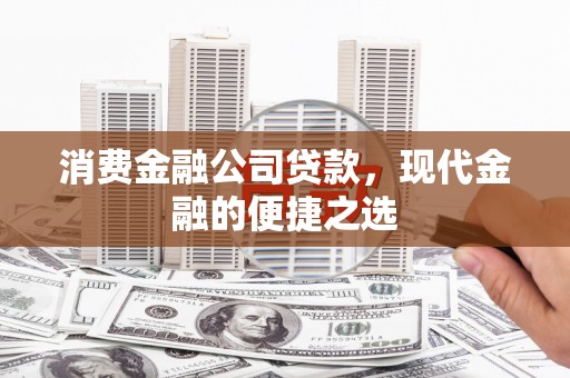 芳苑消费金融公司贷款，现代金融的便捷之选