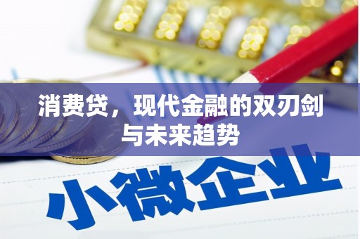 芳苑消费贷，现代金融的双刃剑与未来趋势