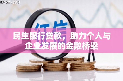 芳苑民生银行贷款，助力个人与企业发展的金融桥梁