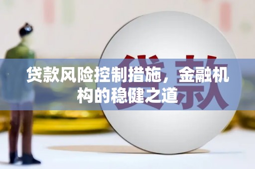 芳苑贷款风险控制措施，金融机构的稳健之道