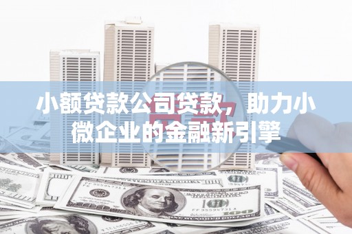 芳苑小额贷款公司贷款，助力小微企业的金融新引擎