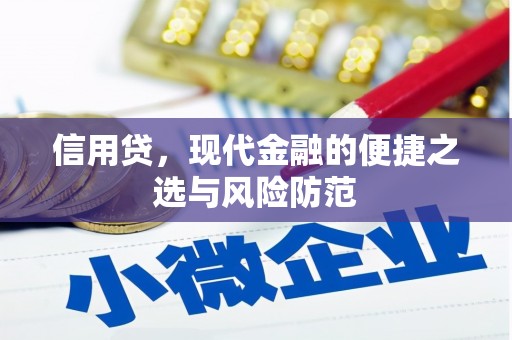 芳苑信用贷，现代金融的便捷之选与风险防范
