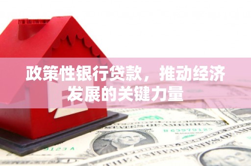 芳苑政策性银行贷款，推动经济发展的关键力量