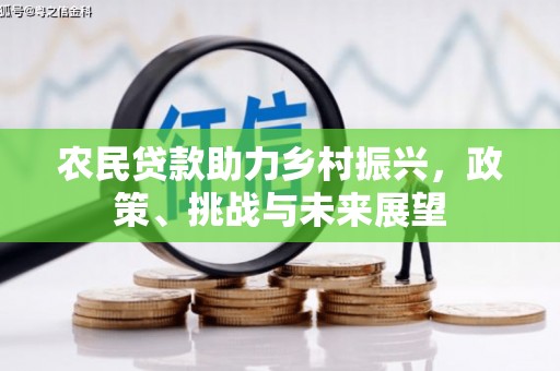 芳苑农民贷款助力乡村振兴，政策、挑战与未来展望