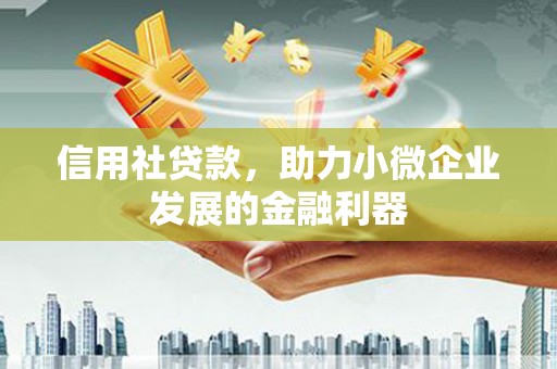 芳苑信用社贷款，助力小微企业发展的金融利器