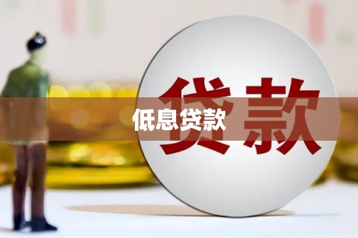 芳苑低息贷款