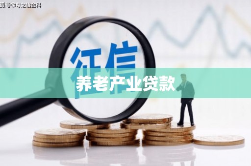 芳苑养老产业贷款
