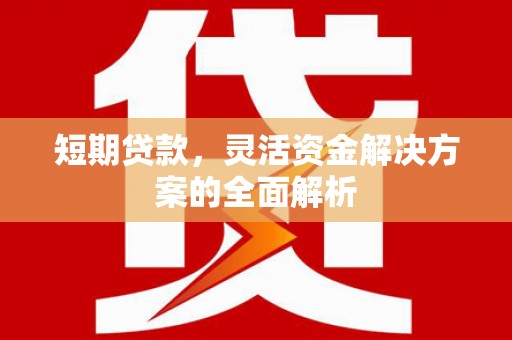 芳苑短期贷款，灵活资金解决方案的全面解析