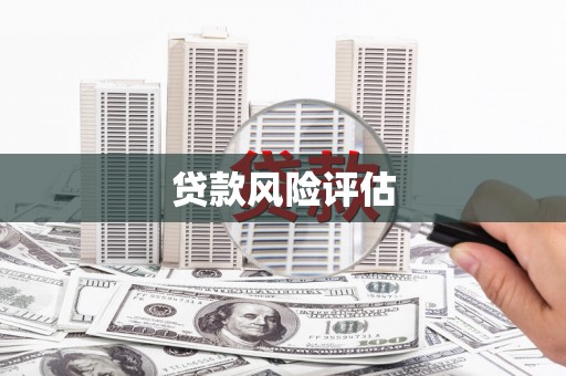 芳苑贷款风险评估