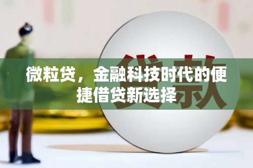 芳苑微粒贷，金融科技时代的便捷借贷新选择