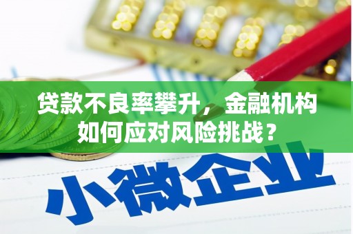 芳苑贷款不良率攀升，金融机构如何应对风险挑战？