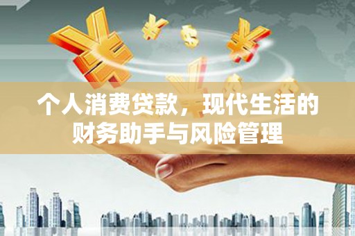 芳苑个人消费贷款，现代生活的财务助手与风险管理