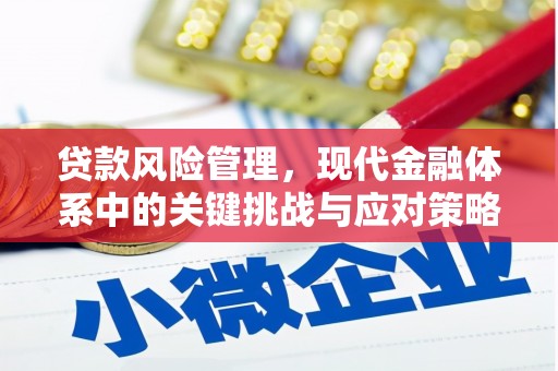 芳苑贷款风险管理，现代金融体系中的关键挑战与应对策略