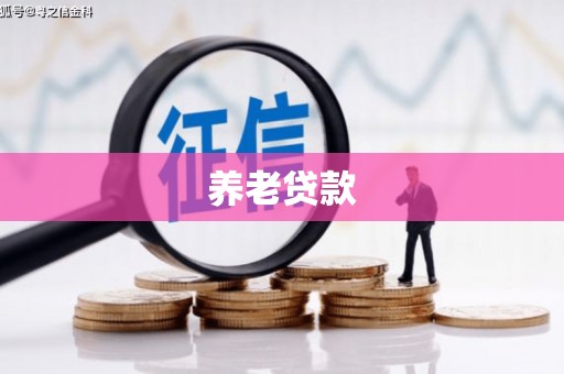 芳苑养老贷款