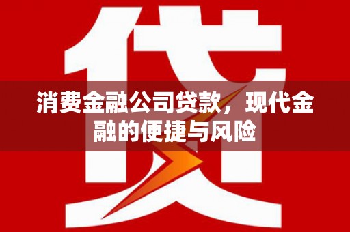 芳苑消费金融公司贷款，现代金融的便捷与风险