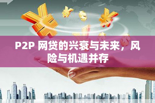 芳苑P2P 网贷的兴衰与未来，风险与机遇并存