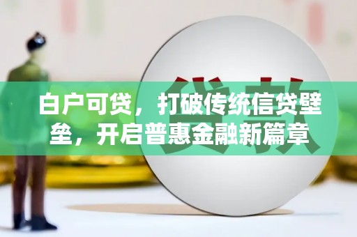 芳苑白户可贷，打破传统信贷壁垒，开启普惠金融新篇章