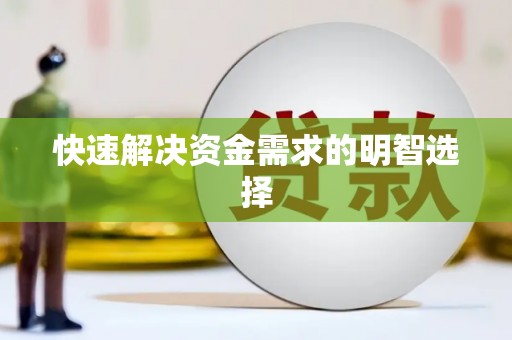 芳苑快速解决资金需求的明智选择