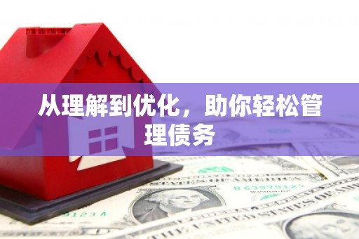 芳苑从理解到优化，助你轻松管理债务