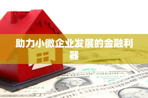 芳苑助力小微企业发展的金融利器