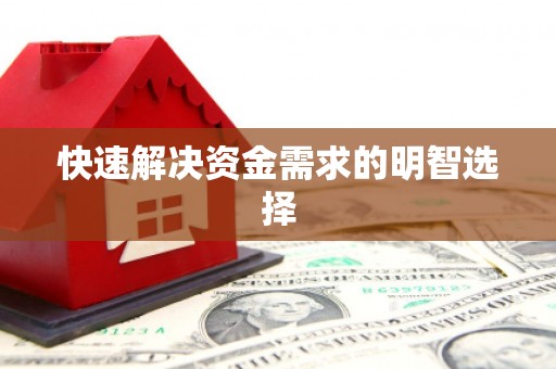 芳苑快速解决资金需求的明智选择