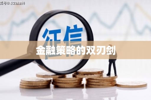 芳苑金融策略的双刃剑