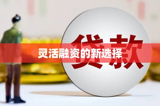 芳苑灵活融资的新选择