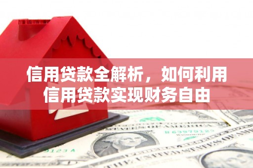 芳苑信用贷款全解析，如何利用信用贷款实现财务自由