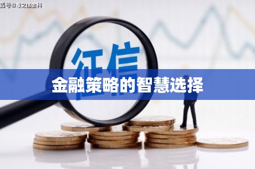 芳苑金融策略的智慧选择