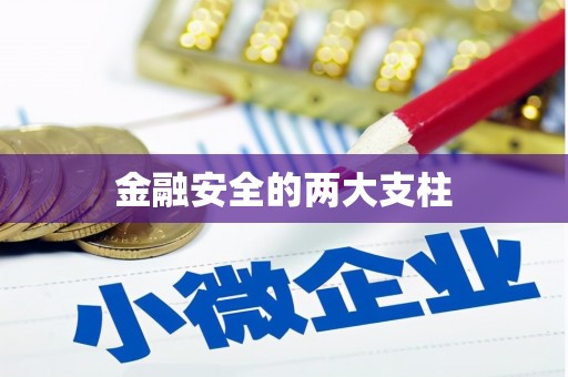 芳苑金融安全的两大支柱