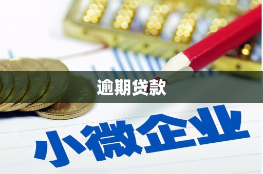 芳苑逾期贷款
