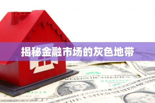 芳苑揭秘金融市场的灰色地带