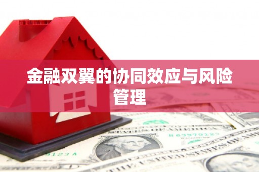 芳苑金融双翼的协同效应与风险管理