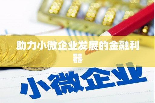 芳苑助力小微企业发展的金融利器