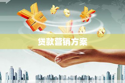 芳苑贷款营销方案