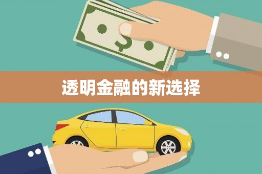芳苑透明金融的新选择